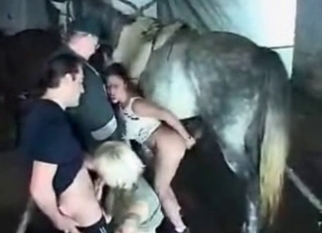Group animality XXX with crazy zoophiles