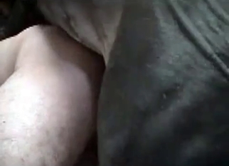 Stallion and sexy bitch in farm bestiality XXX