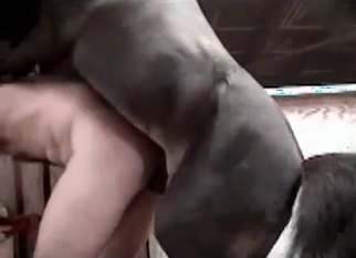Stallion and sexy bitch in farm bestiality XXX