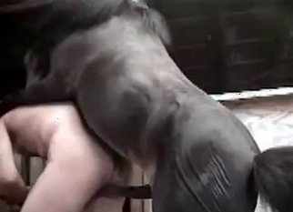 Stallion and sexy bitch in farm bestiality XXX