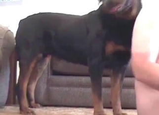 Sexy female gets impaled by her hound