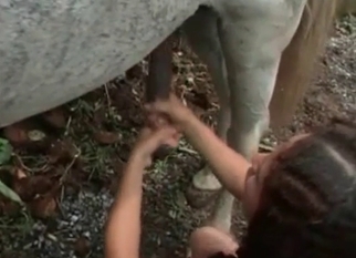 Horse and sexy female are enjoying farm bestiality