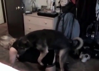 Owner gets nicely drilled by sexy doggy