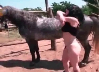 Sucking horse prick with love