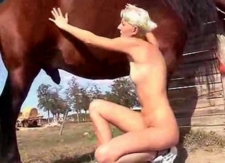Outdoor sex with a sexy stallion