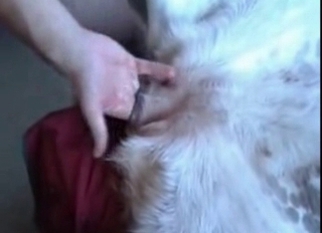 Fingering dog ass with pleasure