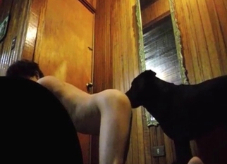 Pussy licked by a really trained animal