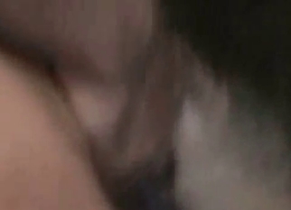 Animal really enjoys my loaded dick