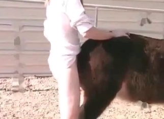 Nice sex with a horny pony and a stud
