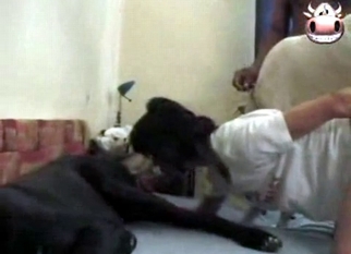 Doggy with hard cock knows how to fuck