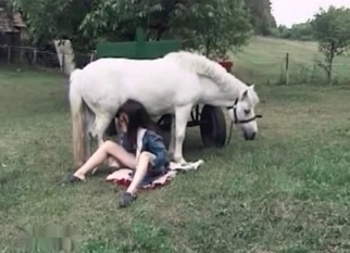 White stallion enjoys dirty oral sex