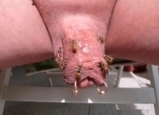 Amazing amateur bestiality incest action