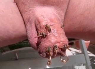 Amazing amateur bestiality incest action