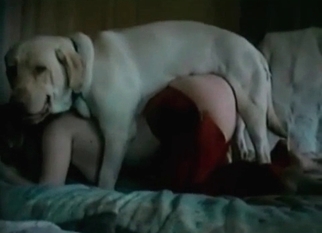 Bestial sex of a really spicy model zoophile