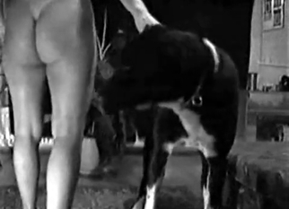 Pussy gets fucked by awesome doggy