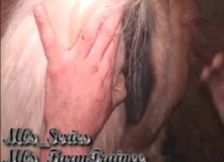 Very good rimjob for a horse