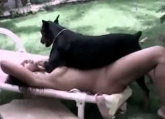 Doberman and a horny zoophile