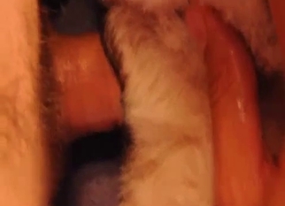 Just fingering my lovely young doggy