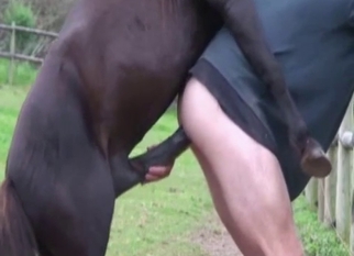 Farmer is trying anal fuck with stallion