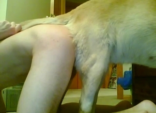Amazing ass to ass fuck with Labrador