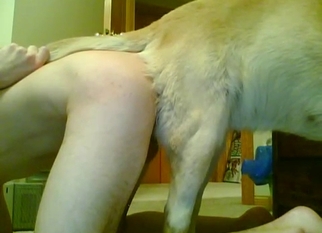 Amazing ass to ass fuck with Labrador