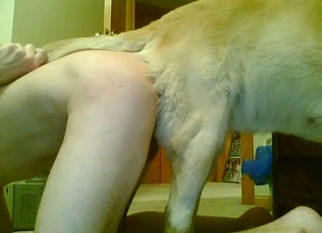 Amazing ass to ass fuck with Labrador