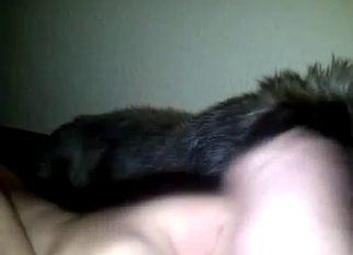 Cute puppy licks my hard loaded sausage