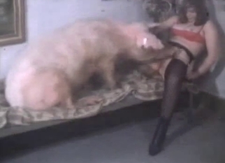 Babe is trying hard to fuck with a pig