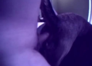 Nice retriever licks my loaded hard boner