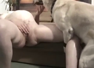 Busty brunette got nailed by white Labrador