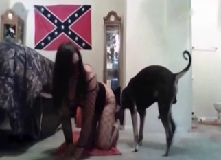 Doggy style bestiality fuck with my pet