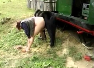 Pony gets a blowjob from a fat MILF