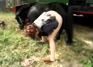 Pony gets a blowjob from a fat MILF