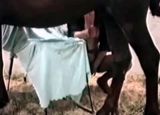 Whore and brown stallion are enjoying bestiality