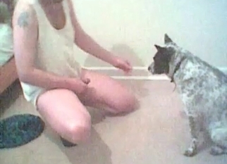 Small cock nicely licked by dog