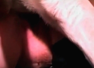 Really awesome dog bestiality action