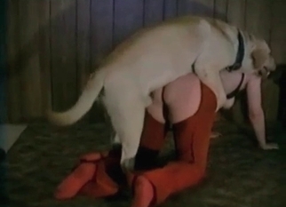 Whore drilled by trained beast