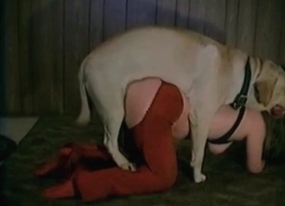 Whore drilled by trained beast
