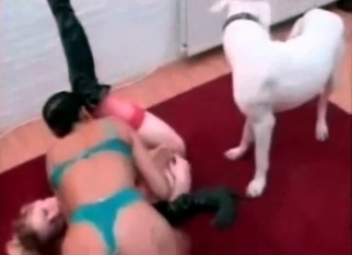 Sexy doggy and awesome zoophiles sluts