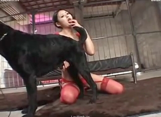 Asian zoophilia XXX action
