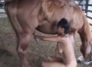 Awesome zoophilia XXX compilation
