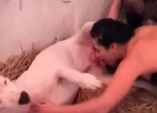 Dog sex action with a lusty beauty