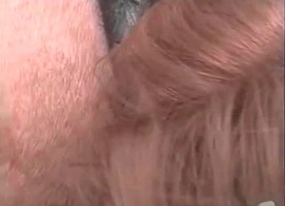 Big tit slut drilled hard by her stallion