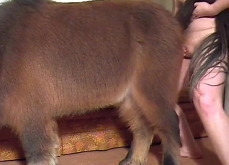 Farm animal deserves a massive cumshot
