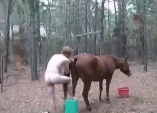 Hardcore zoophilia XXX with my own mare