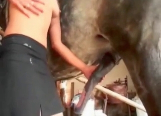 Tight pussy hardly impaled by stallion