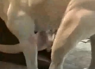 Tight cunt hardly banged by doggy