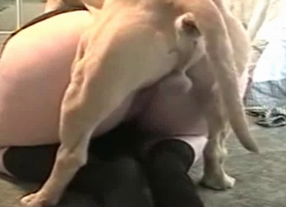 Tight cunt hardly banged by doggy