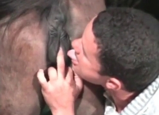Sucking horse with love