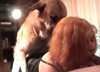 Cur and couple in amateur bestiality action